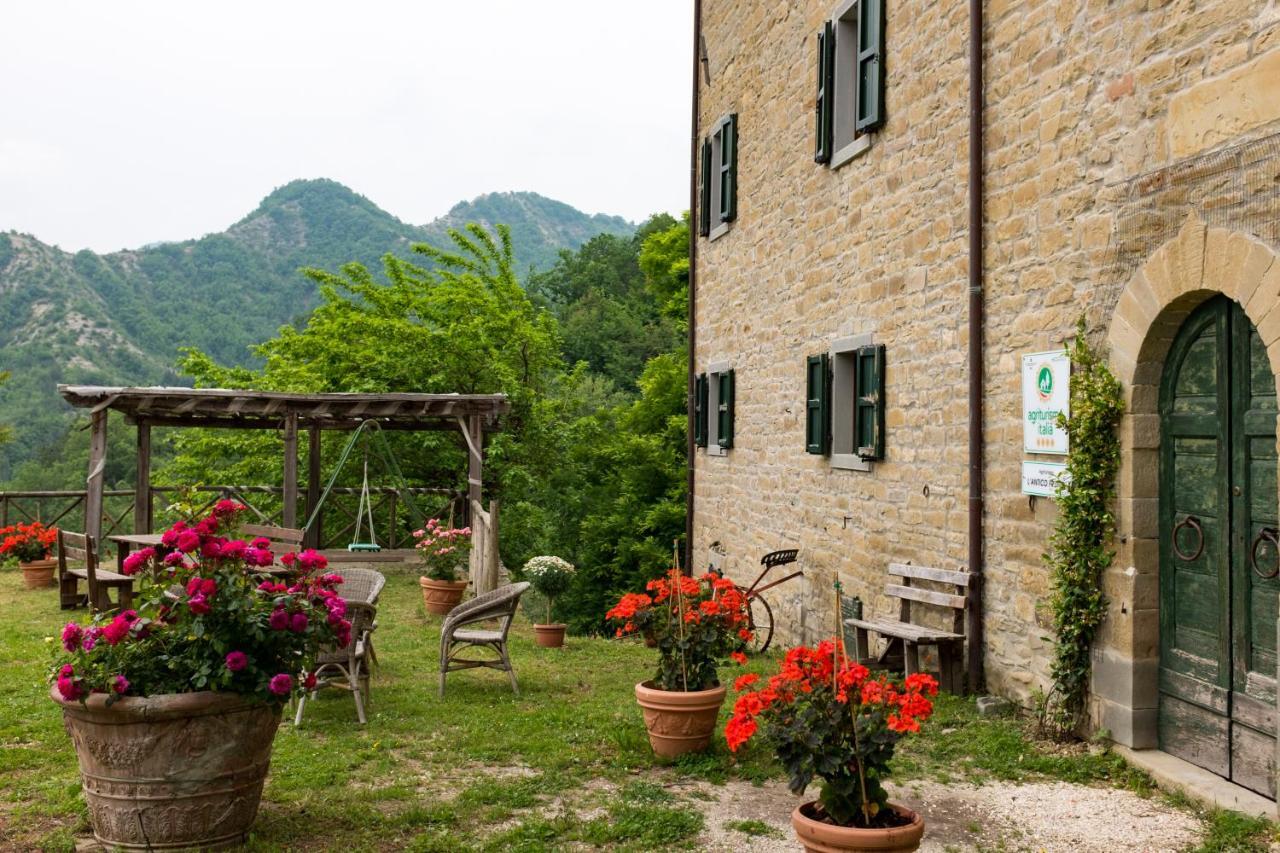 Agriturismo L'Antico Frutto Premilcuore Exterior foto